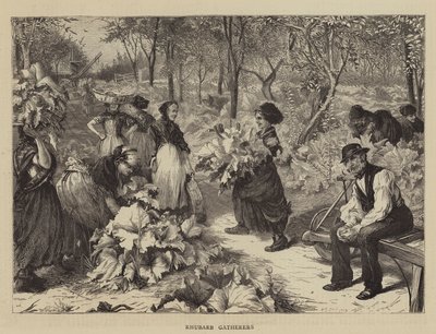 Rhubarb Gatherers by Charles J. Staniland